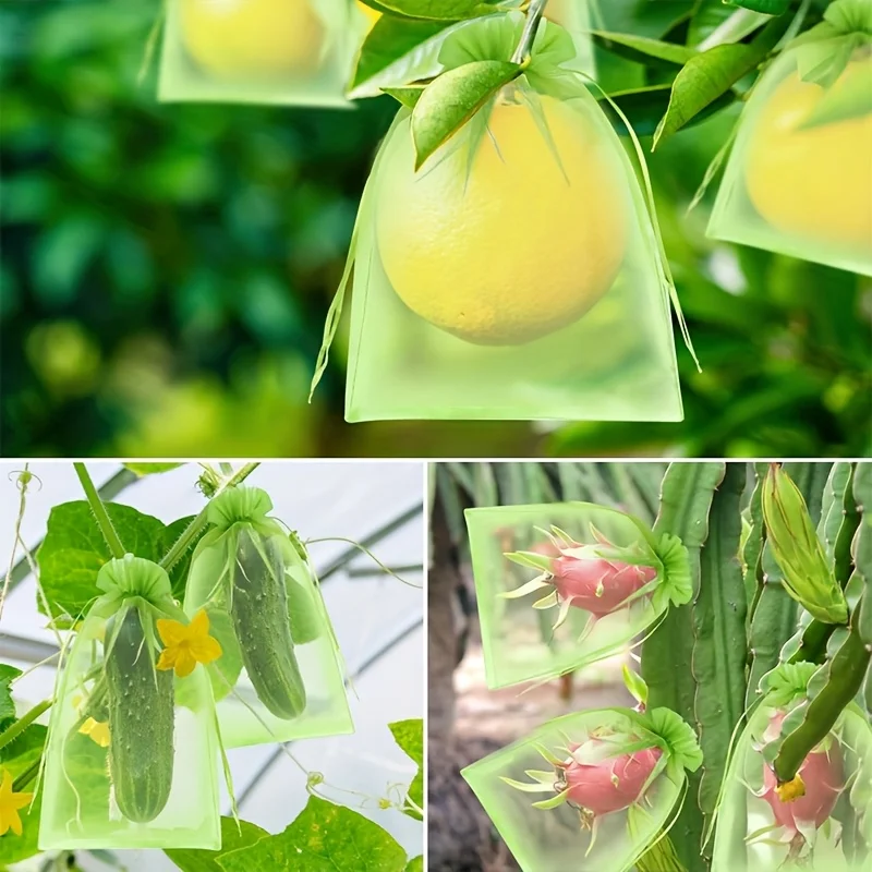 100 sacchetti protettivi verdi - Grow Bags recensione e prezzo