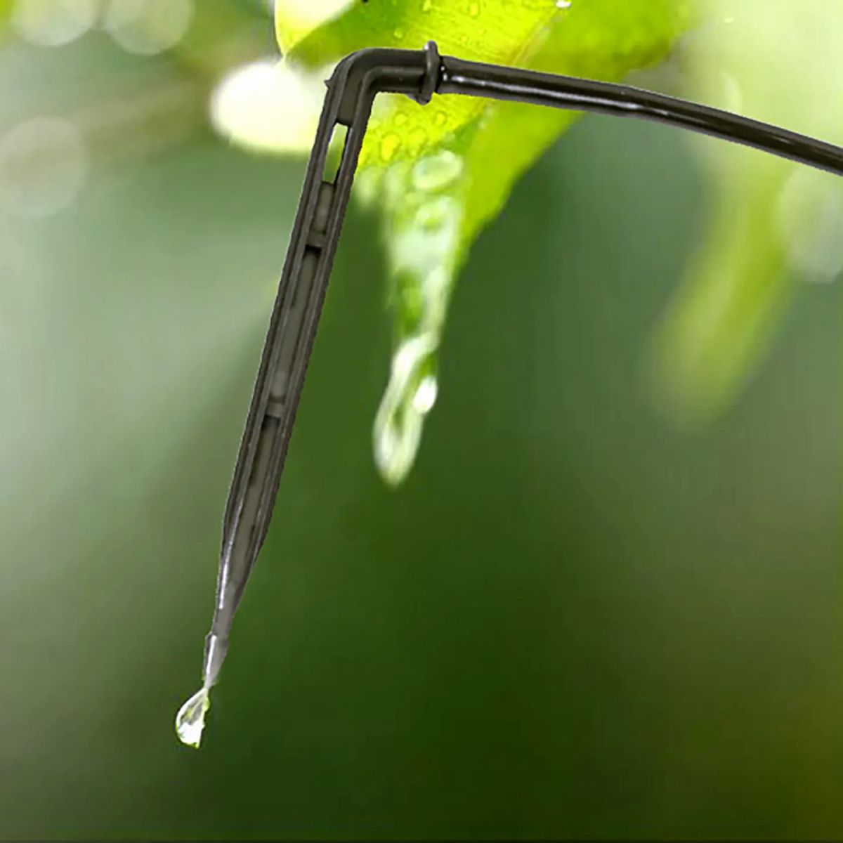 Arrow Dripper Joint Garden irr - Gardening Tools For Seniors recensione e prezzo