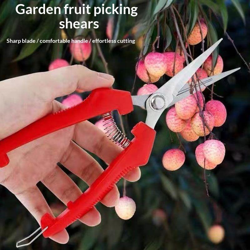 Forbici da Potatura per Giardi - Gardening Tools Sharp recensione e prezzo