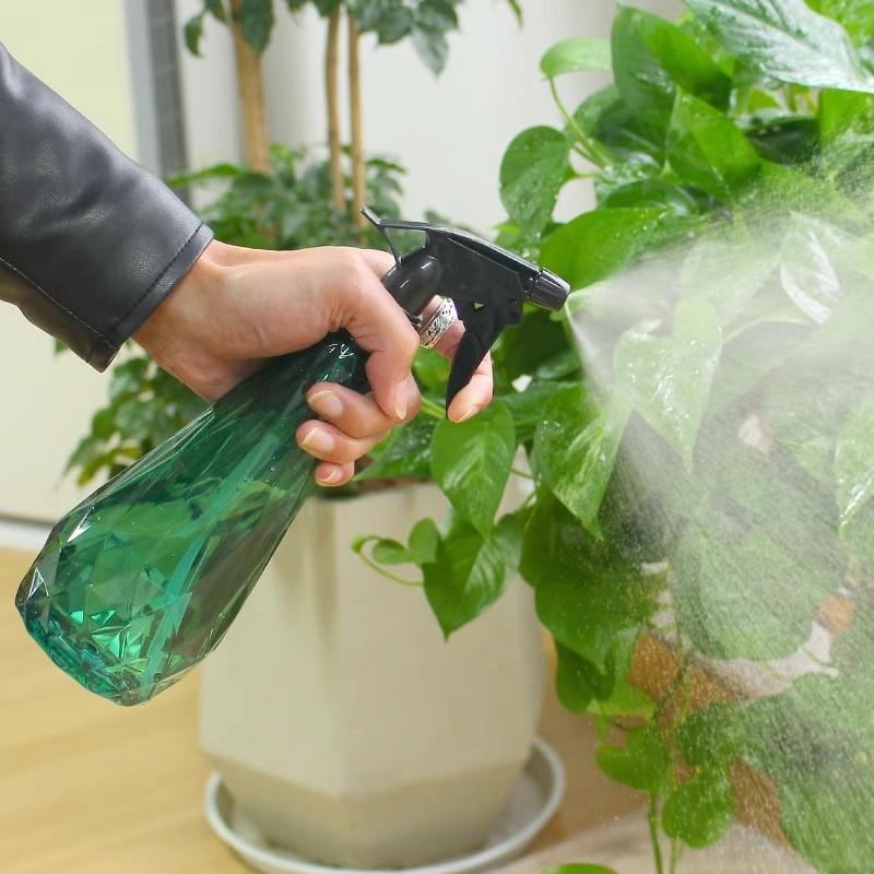 Spruzzatore Manuale da 600Ml p - Gardening Tools For Seniors recensione e prezzo