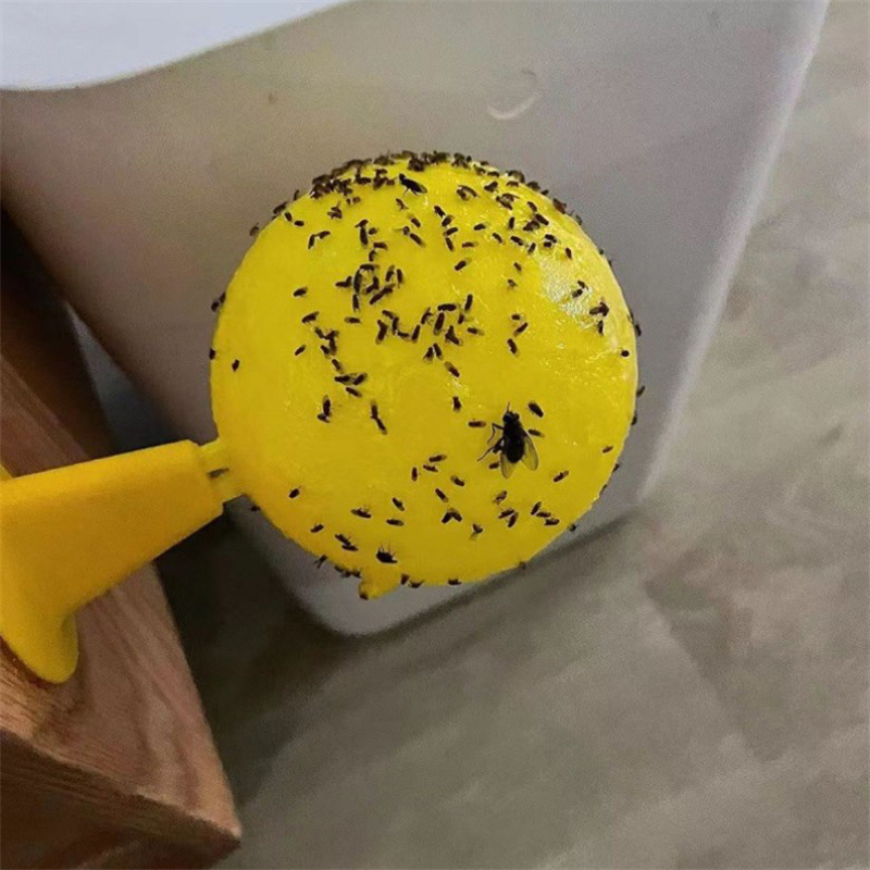 Trappola Adesiva Gialla per In - Pest Trap Yellow Sticky recensione e prezzo