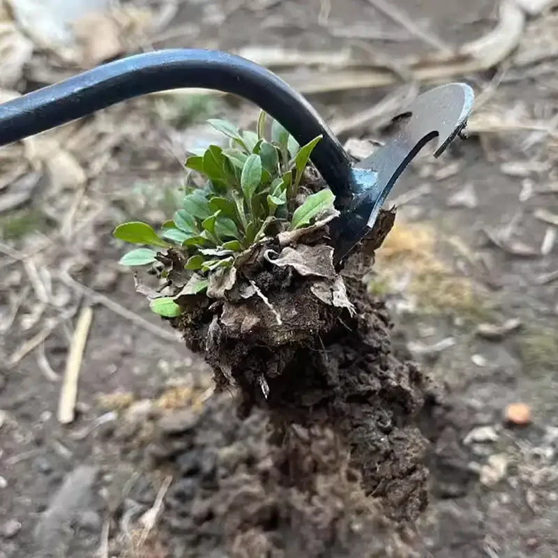 Diserbante da Giardino in Acci - Weed Puller recensione e prezzo