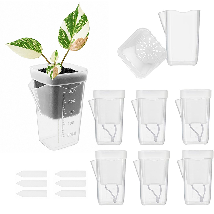 12/24 Pezzi Vaso Autoirrigante - Gardening Tools For Seniors recensione e prezzo